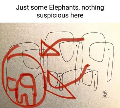 Sus meme doodle elephants hide 69 shape pretending to be innocent