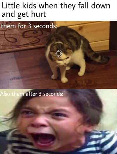 Random Memes