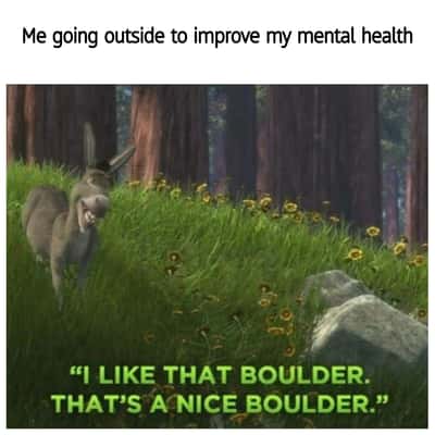 Random Memes