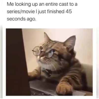 Cat meme with round glasses typing on laptop searching for movie cast