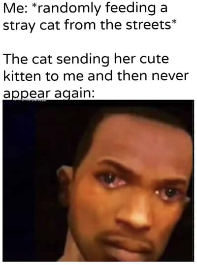 Random Memes