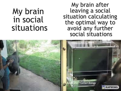 Random Memes