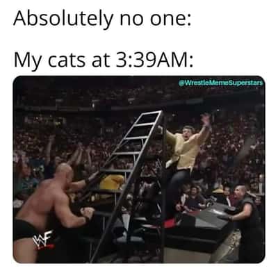 Random Memes