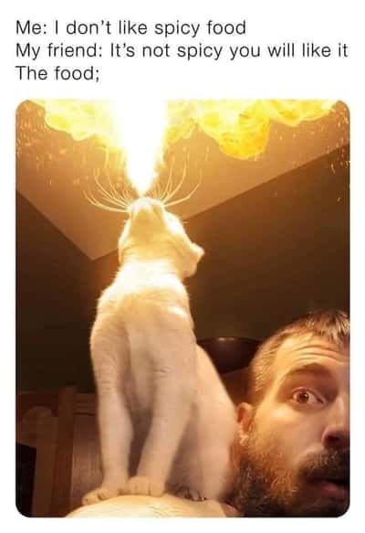 Random Memes