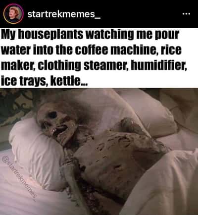 Random Memes