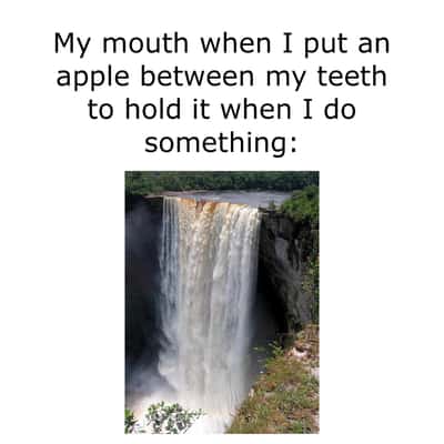 Random Memes