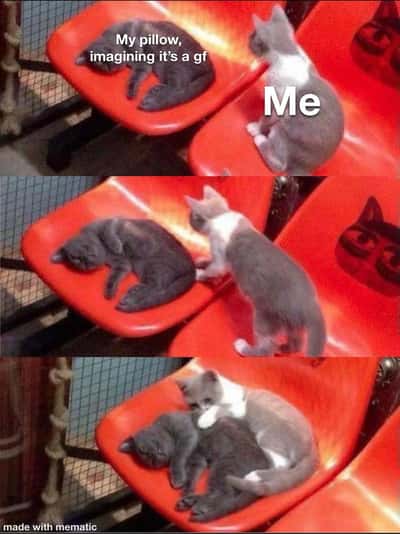 Random Memes
