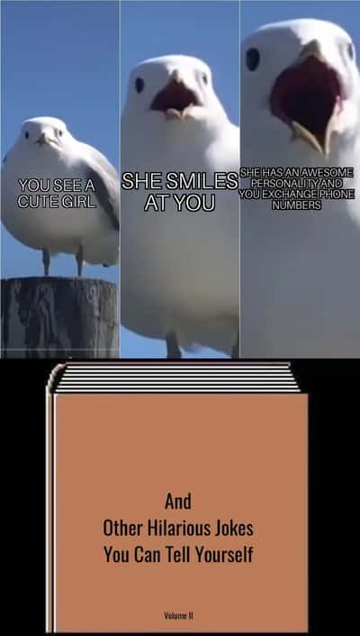 Random Memes