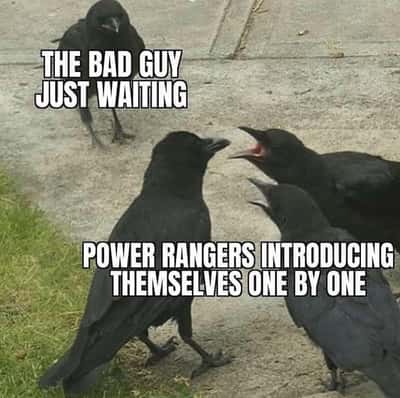 Random Memes