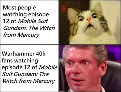 Scared cat meme shocked watching episode 12 of Mobile Suit Gundam