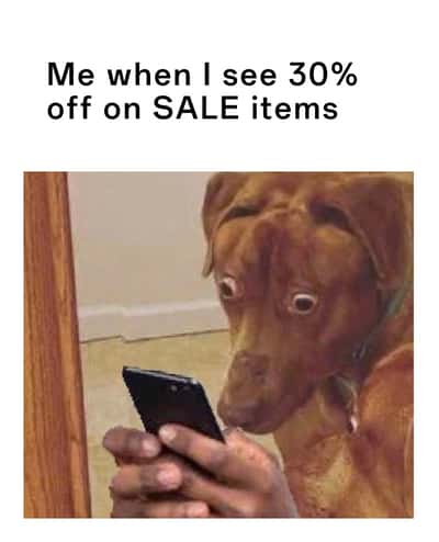 Scared dog meme reacting to 30% off sale items