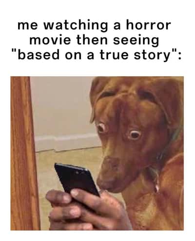 Scared dog meme shocked by horror movie true story tag