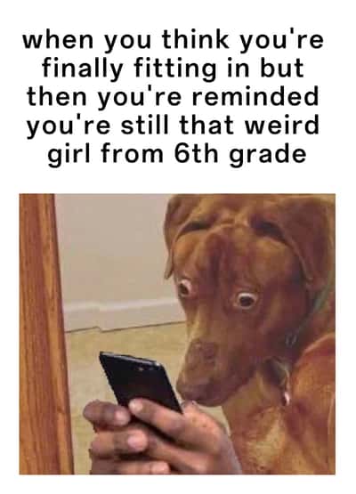 Scared dog meme shocked by old awkward school memories
