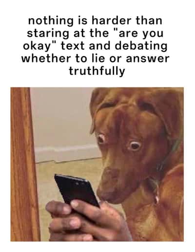 Scared dog meme leaving theater after Backrooms movie