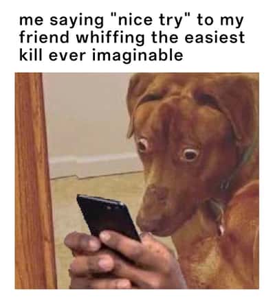 Scared dog meme reacting to friend whiffing an easy kill