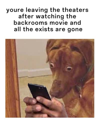 Scared dog meme leaving theater after Backrooms movie