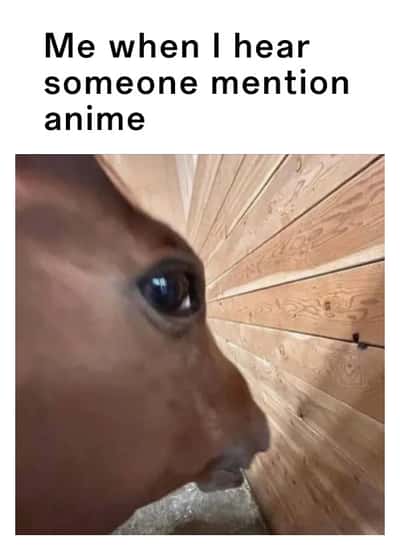 Side eye horse meme eavesdropping when someone mentions anime