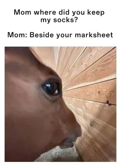 Side eye horse meme panicking when mom says socks are next to his marksheet