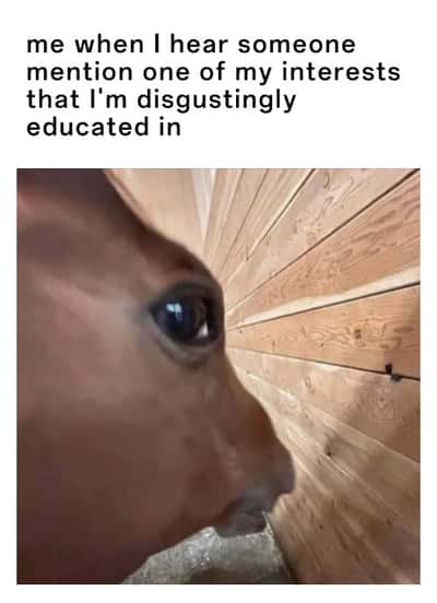 Side eye horse meme getting ready to info dump when someone mentions your interest you are deeply educated in