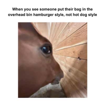 Side eye horse meme judging people stowing bags hamburger style in overhead bin
