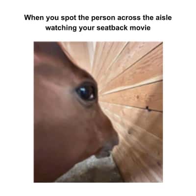 Side eye horse meme awkwardly spotting person across aisle watching your seatback movie