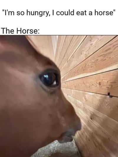 Side eye horse meme looking suspicious when someone says they are so hungry they could eat a horse