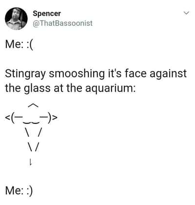 Random Memes