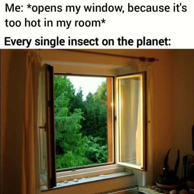 Random Memes