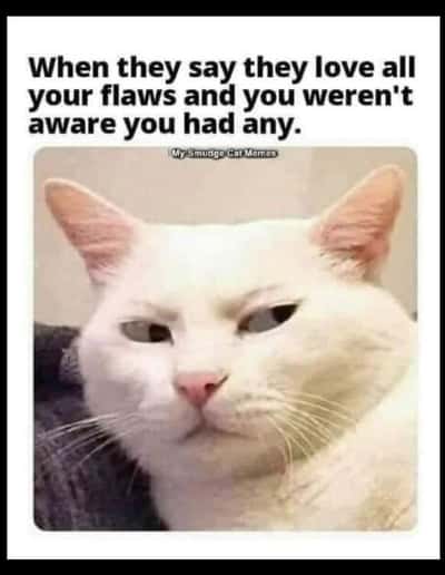 Sus meme white cat side eyes you when someone says they love all your flaws
