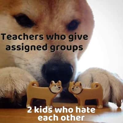 Random Memes