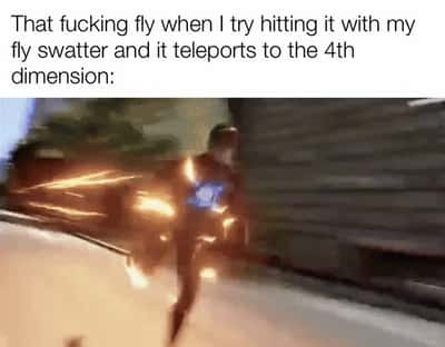 Random Memes