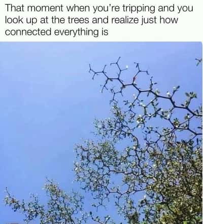 Random Memes