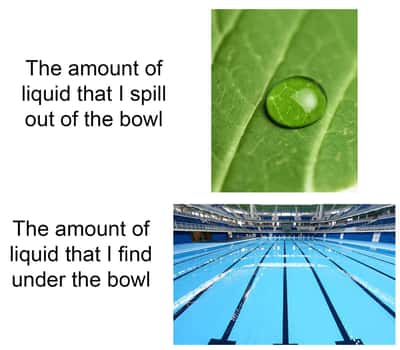 Random Memes