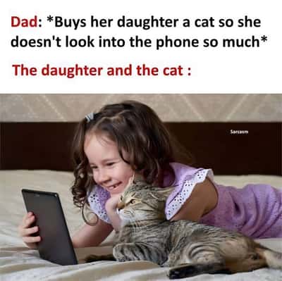 Random Memes