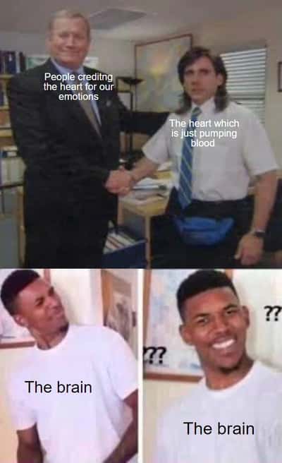 Random Memes