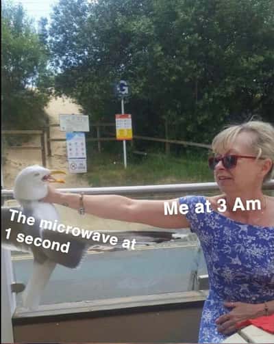 Random Memes
