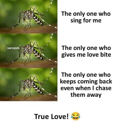 Random Memes