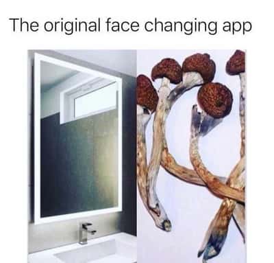 Random Memes