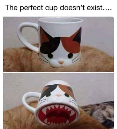 Random Memes