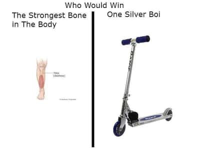 Random Memes