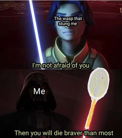 Random Memes