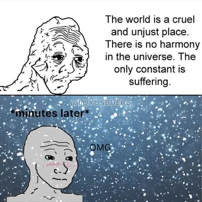 Random Memes