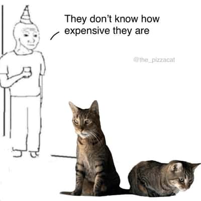 Random Memes