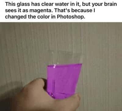 Random Memes