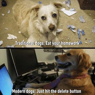 Cheeky two panel dog meme showing dogs sabotaging homework two different ways