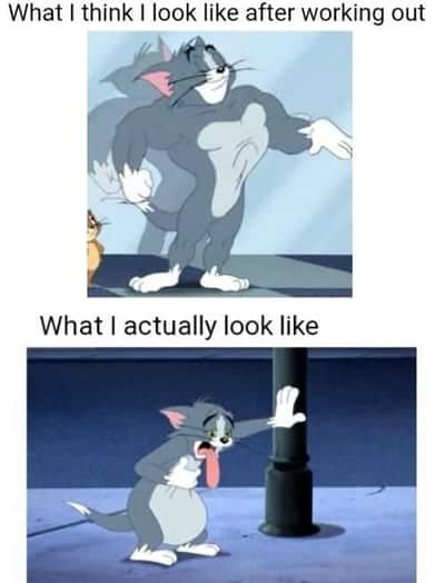 Random Memes