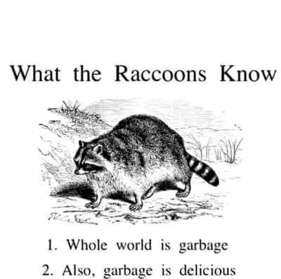 Random Memes