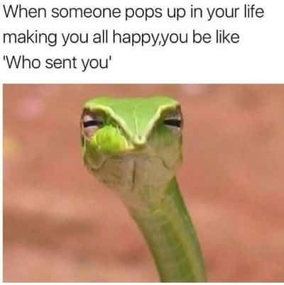 Sus meme unimpressed green side eye snake asks who sent you