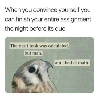 Random Memes
