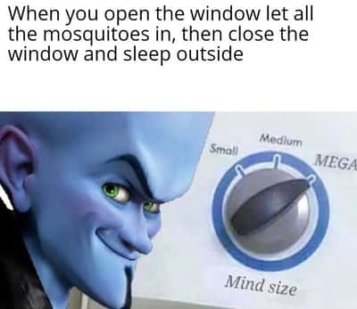 Random Memes